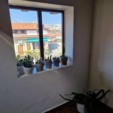 Into The World Apartment *